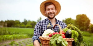 Portale Ismea per accedere agli aiuti per i giovani agricoltori